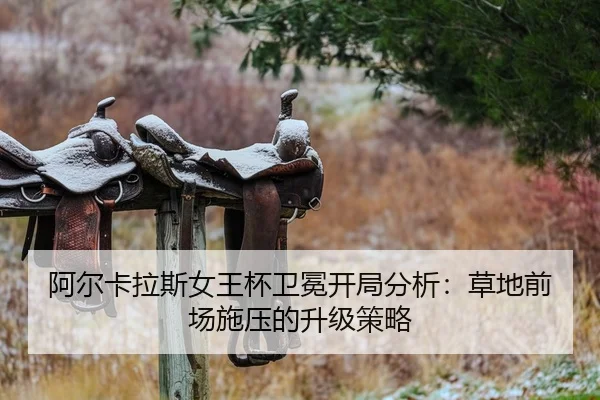 a-er-ka-la-si-nv-wang-bei-wei-mian-kai-ju-fen-xi-cao-di-qian-chang-shi-ya-de-sheng-ji-ce-lve-2-111.jpg