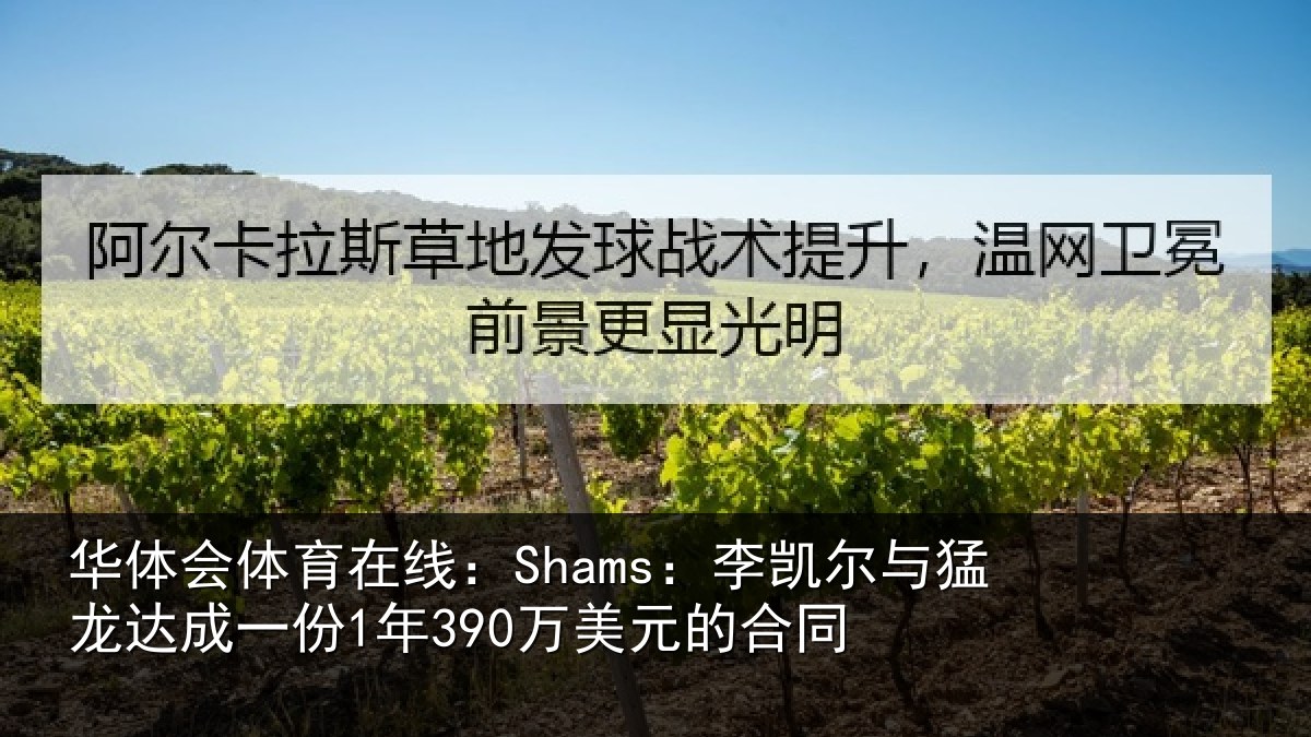 华体会体育在线：Shams：李凯尔与猛龙达成相关情况同