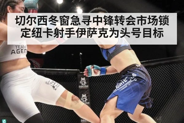 切尔西冬窗急寻中锋转会市场锁定纽卡射手伊萨克为头号目标